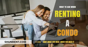 Essential Questions to Ask Before Renting Your Dream Condo