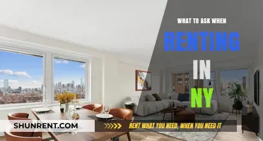 Essential Questions to Ask Before Renting in New York