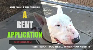 Naming Your Bull Terrier on Rental Applications: Tips and Tricks