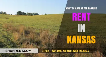 Kansas Pasture Rent Pricing: Fair Rates for Landowners and Tenants