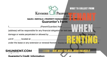 Essential Items to Collect from Tenants During the Renting Process