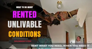 Navigating Unlivable Rented Spaces: Your Guide to Solutions