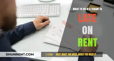 Handling Late Rent Payments: A Landlord's Guide to Tenant Solutions