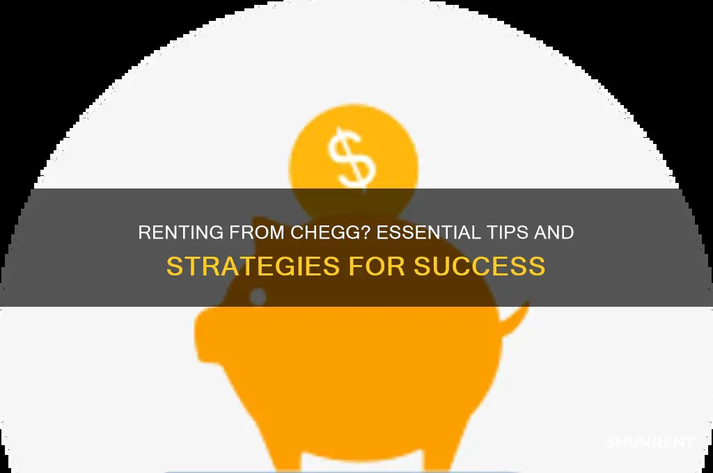 what to do if i rent from chegg