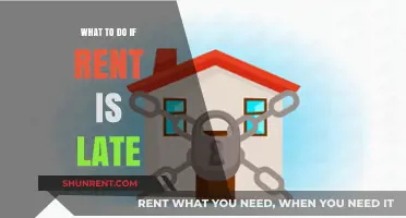 Consequences of Late Rent: A Tenant's Guide to Navigating Financial Woes