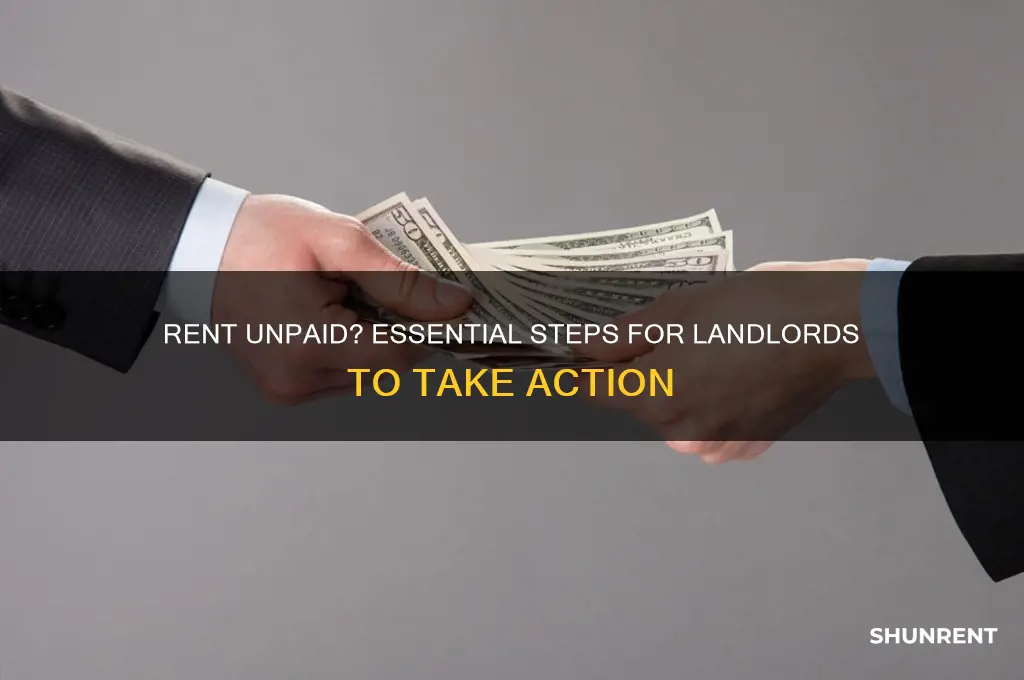 what to do if rent is not paid