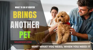 Handling Unauthorized Pets: Steps for Landlords When Renters Add Animals