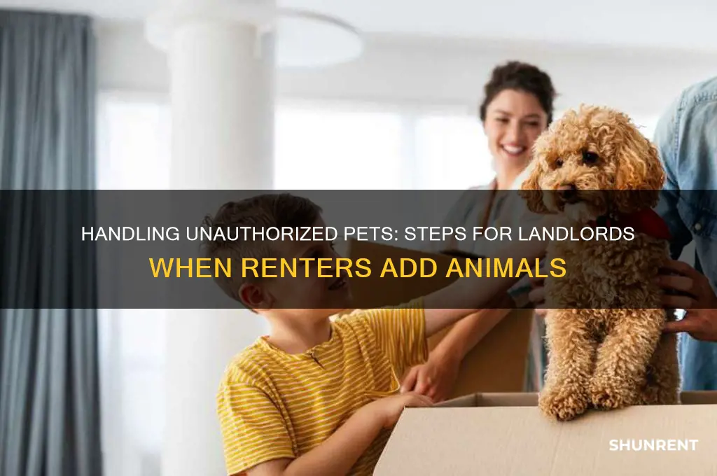what to do if renter brings another pet
