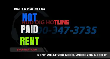 Section 8 Rent Delays: Steps to Take When Payments Are Late