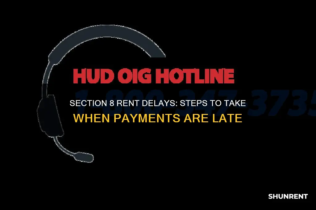what to do if section 8 has not paid rent