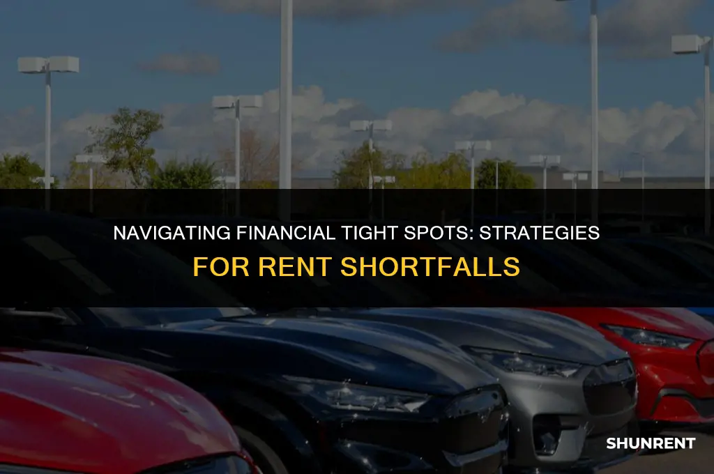 what to do if short on rent