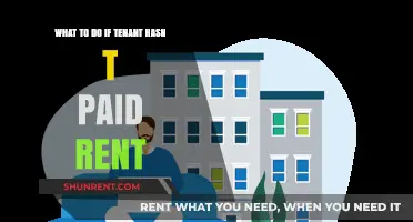Tenant Not Paying Rent? Steps Landlords Can Take to Resolve