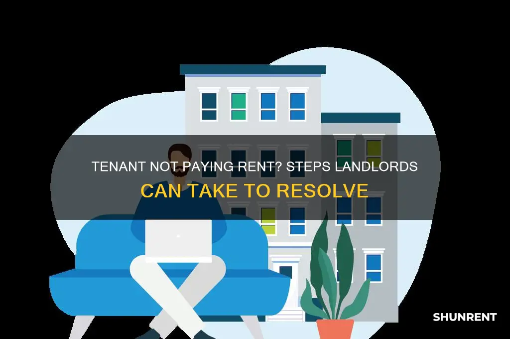 what to do if tenant hasn t paid rent