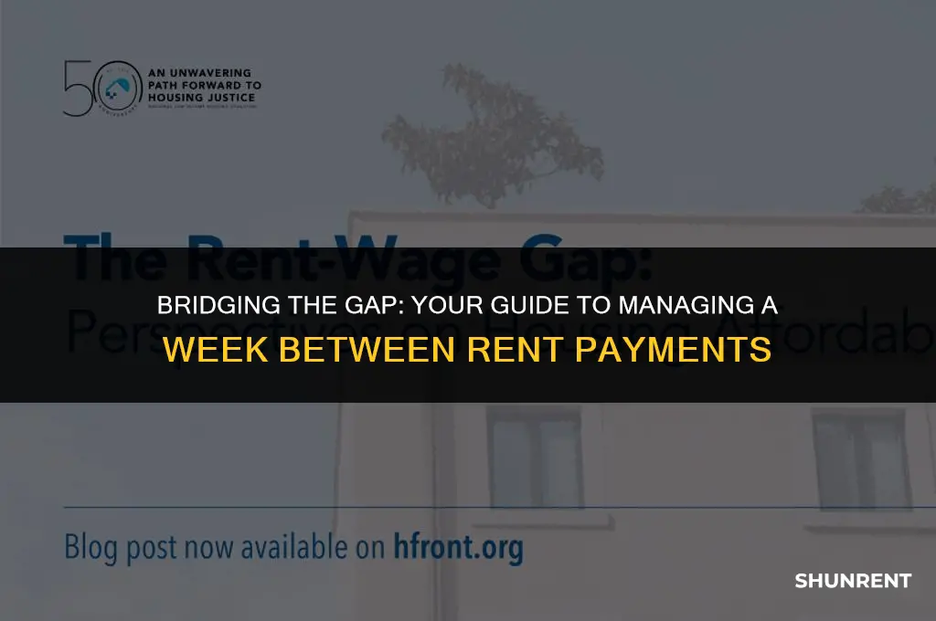 what to do if week between rent