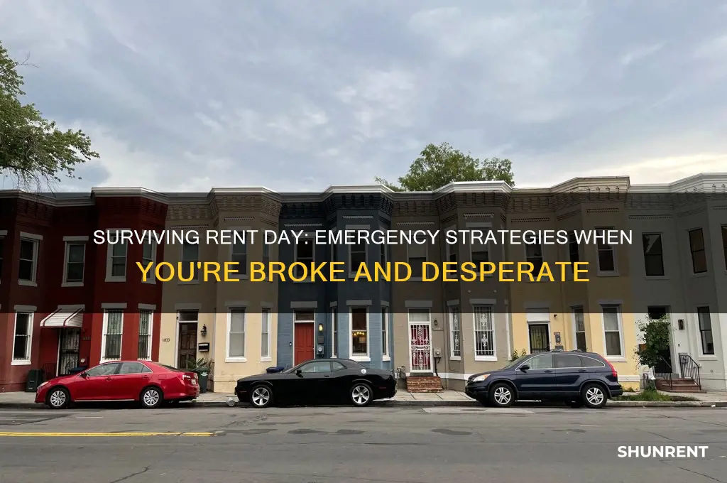what to do if you have no money for rent