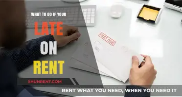 Late on Rent? Here’s How to Handle It Effectively