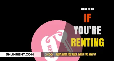 Navigating Your Rental Journey: Tips and Tricks for Tenants