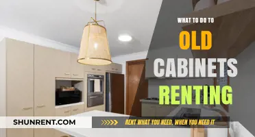 Revamping Old Cabinets: A Renter's Guide to Budget-Friendly Updates