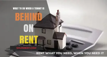Handling Late Rent Payments: A Landlord's Guide to Tenant Solutions