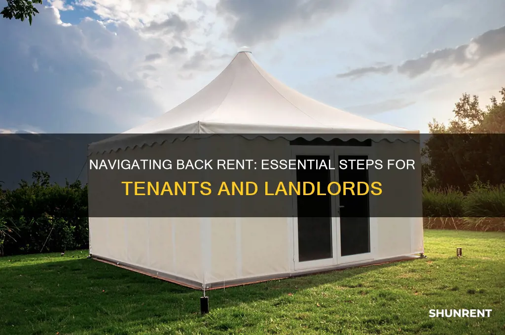 what to do when owning for back rent