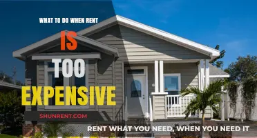 Surviving Sky-High Rent: Practical Strategies to Ease Your Budget Burden