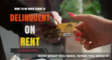 Handling Delinquent Rent: Effective Strategies for Landlords to Resolve Tenant Late Payments