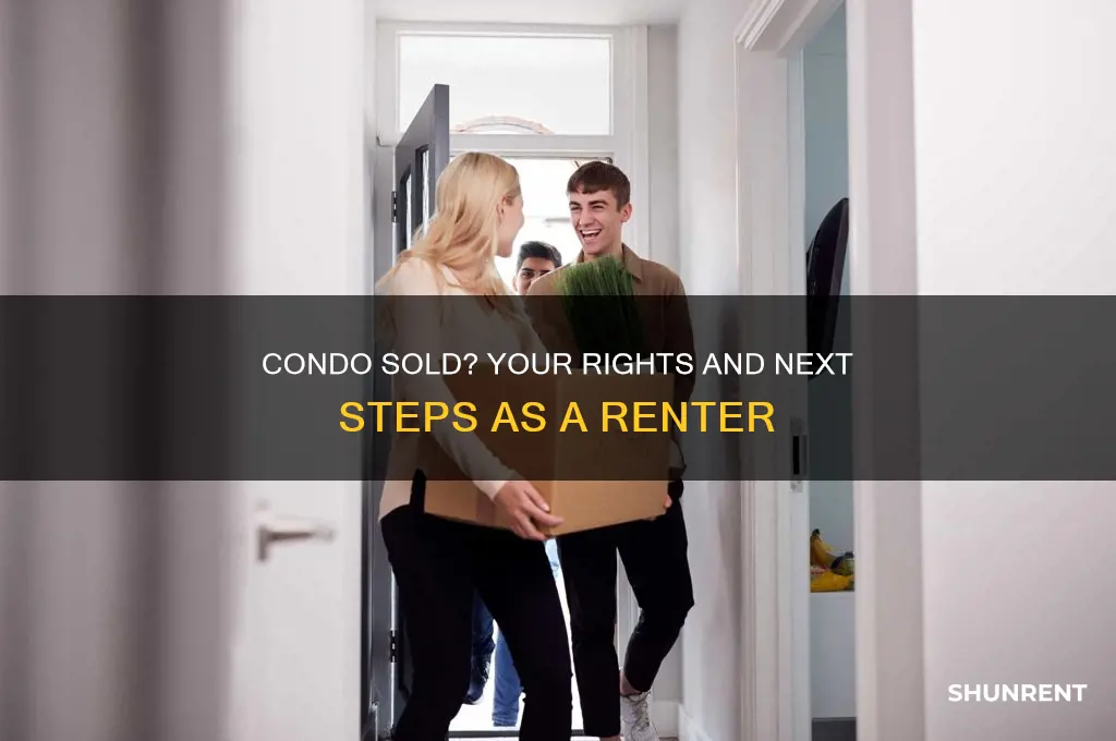 what to do when the condo you rented is sold