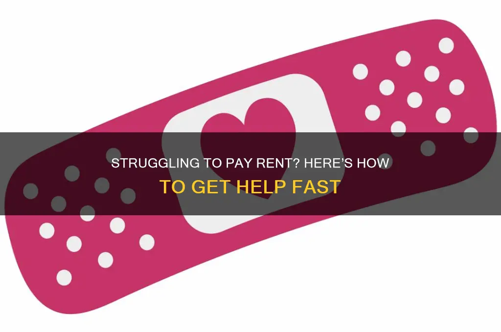 what to do when you need help with rent