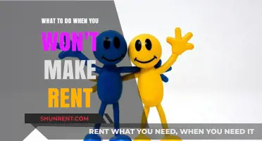 Facing Rent Shortfall: Practical Steps to Navigate Financial Stress