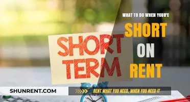 Quick Solutions: What to Do When You're Short on Rent