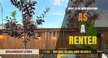 Maximize Your Rental Backyard: Creative, Low-Commitment Ideas for Renters