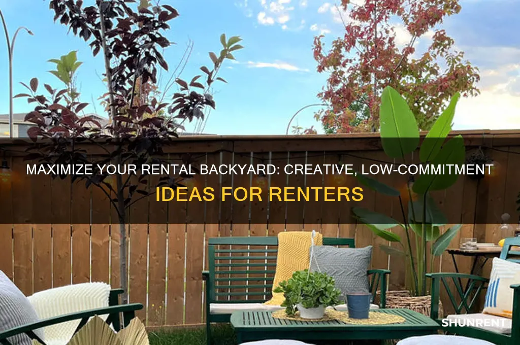 what to do with backyard as a renter