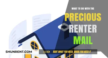 Smart Strategies for Handling Precious Renter Mail Efficiently and Securely