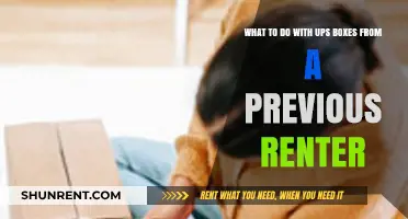 Creative Ways to Reuse or Recycle Old UPS Boxes from Renters