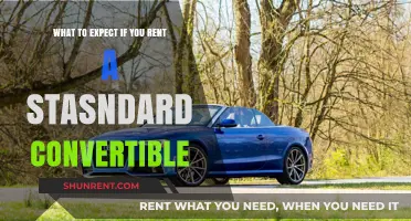 Renting a Standard Convertible: Features, Benefits, and What to Expect