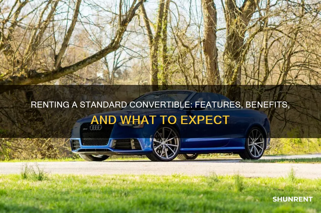 what to expect if you rent a stasndard convertible