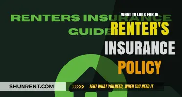 Essential Features to Consider When Choosing Renter's Insurance Coverage