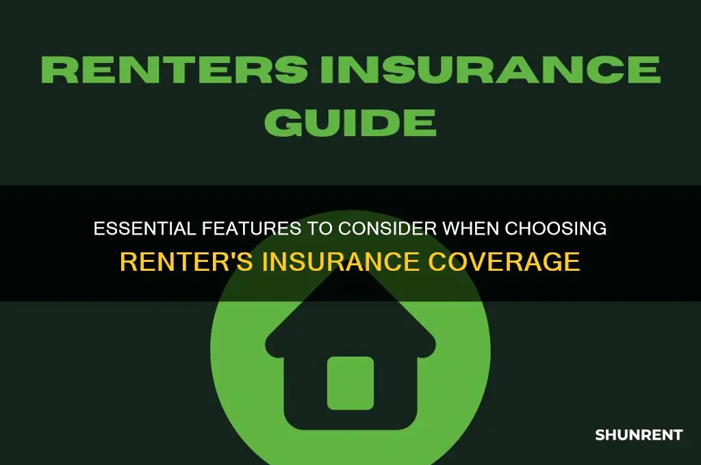 what to look for in renter