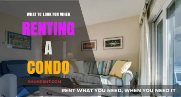 Essential Tips for Renting a Condo: What to Look For