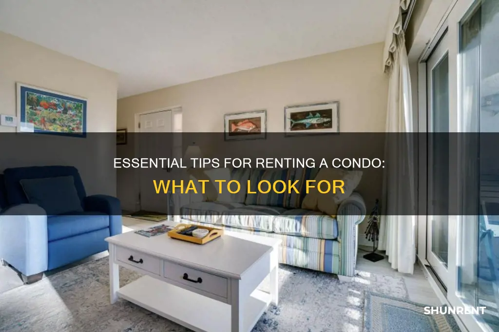 what to look for when renting a condo