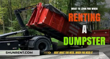Essential Tips for Renting a Dumpster: What to Look For