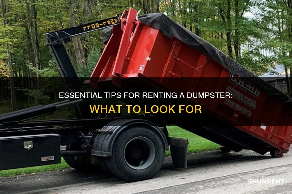 what to look for when renting a dumpster