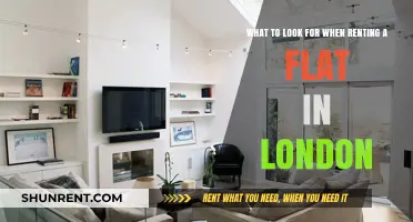 Essential Tips for Renting the Perfect London Flat: What to Check