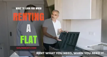 Essential Tips for Renting a Flat: What to Look For