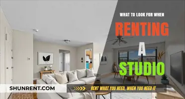 Essential Tips for Renting the Perfect Studio Apartment