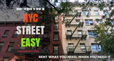 Essential Tips for Renting in NYC: StreetEasy Guide