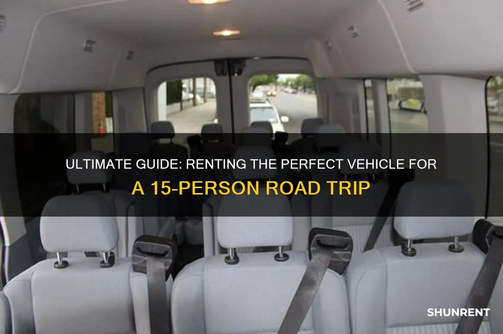 what to rent for 15 people road trip