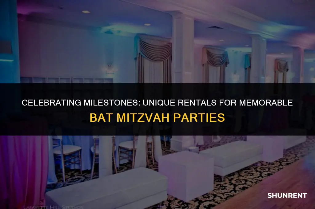 what to rent for bat mitzvah parties