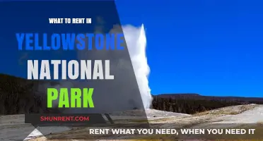 Exploring Yellowstone: A Guide to the Best Rentals for Your Adventure