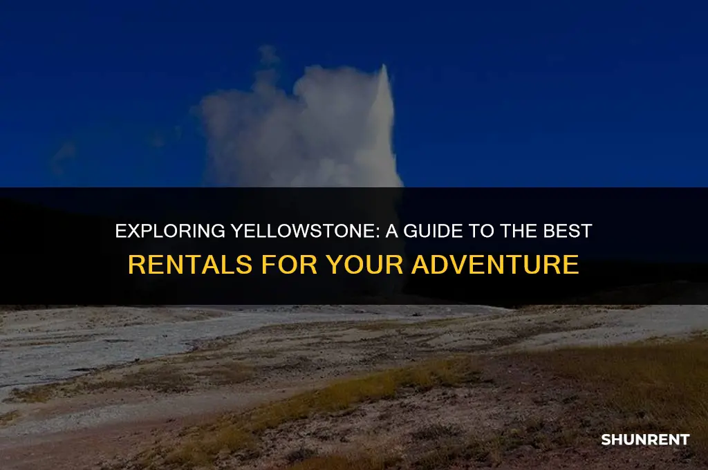 what to rent in yellowstone national park